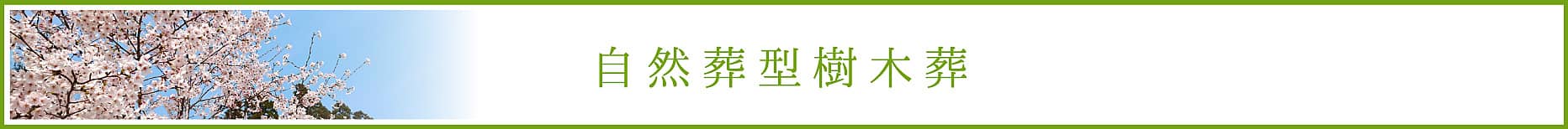 自然葬型樹木葬